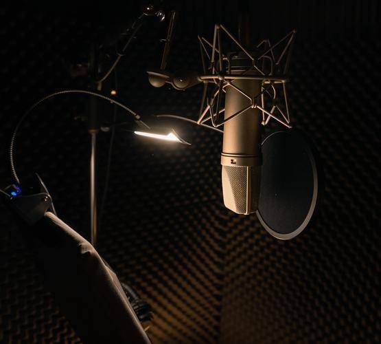 麦克风领夹式的哪个牌子最好?2025口碑炸裂的十大领夹麦克风品牌