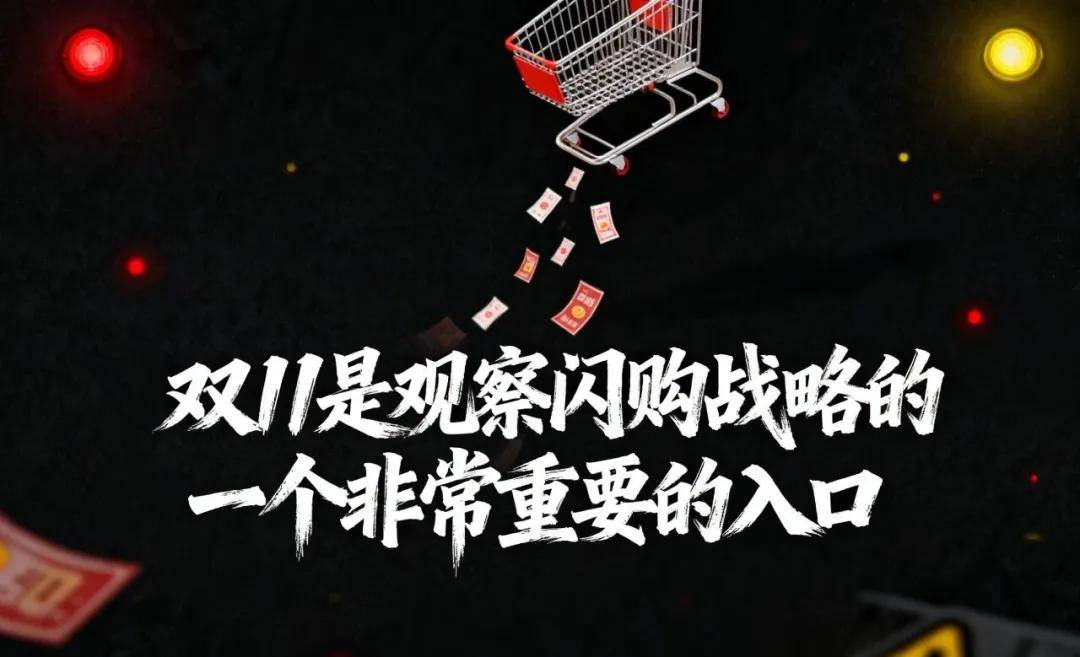 独家|2025年双11纪要:国内电商已死,算法和低价杀死了它!-锋巢网