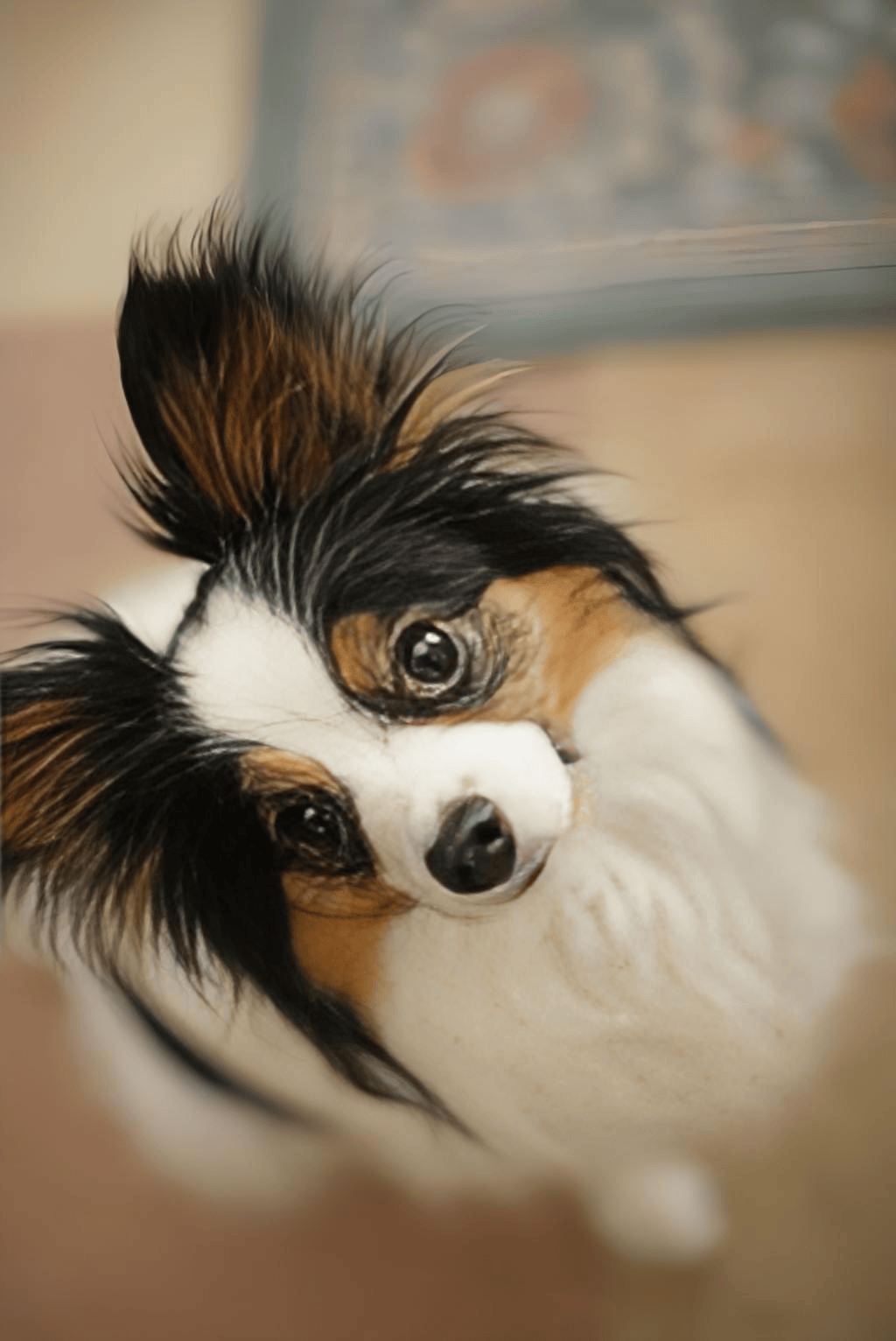 蝴蝶犬骨骼脆弱怎么办?有什么养护骨骼的狗粮?快看看这几款!