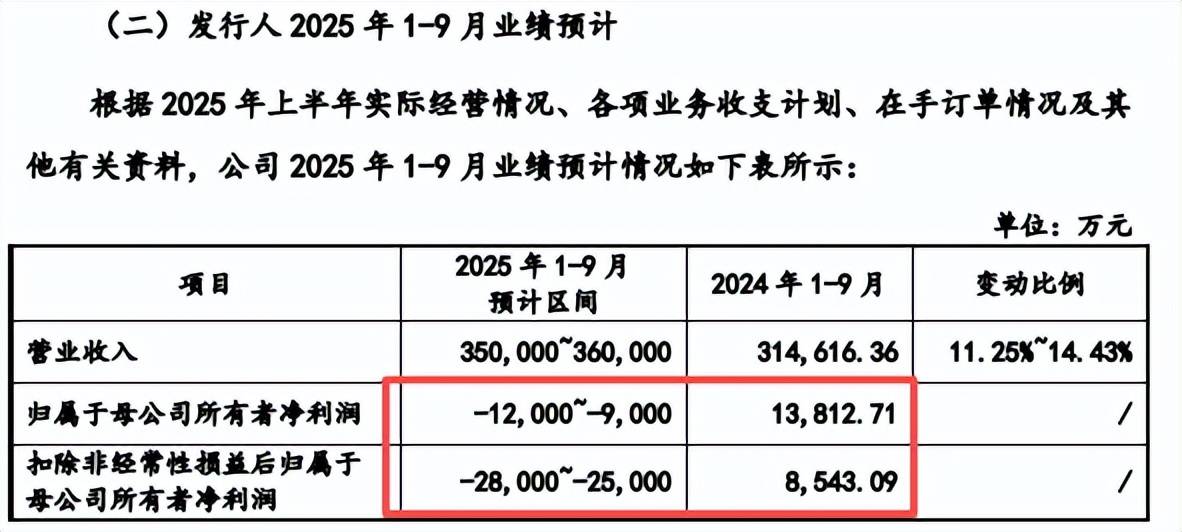 新芯股份IPO:无实控人董事长美国籍 2025年前三季预亏1.2亿(图3)