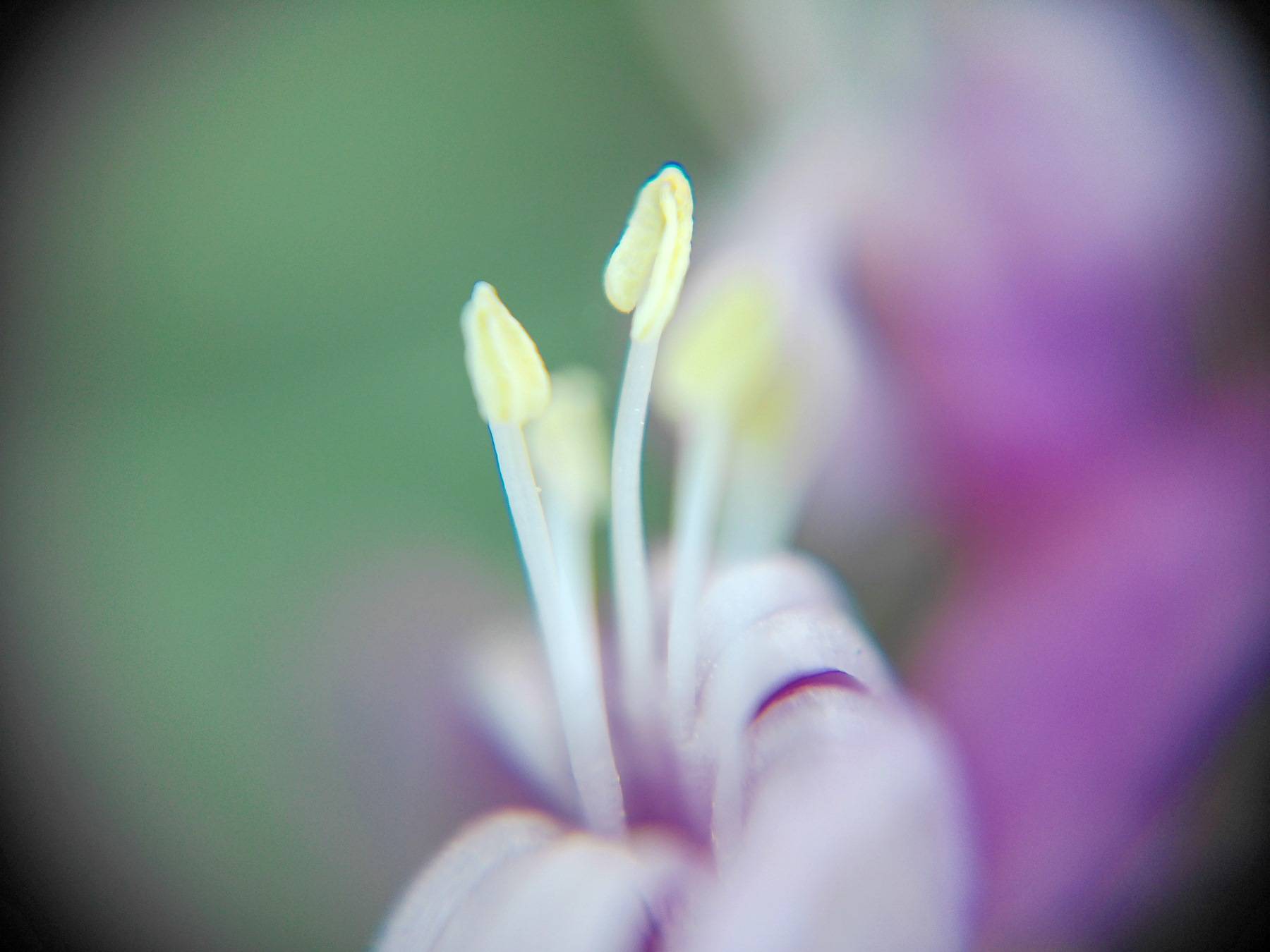 松典VE418,大底高像素,国产卡片机画质越级新标杆