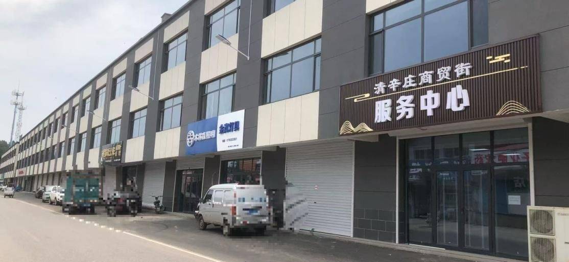 河北定州"康养项目"变"商品房":农耕地里建起511套小产权房(图7)