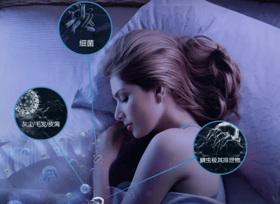 除螨仪有必要买贵的吗？除螨仪十大名牌排名推荐，覆盖全价位