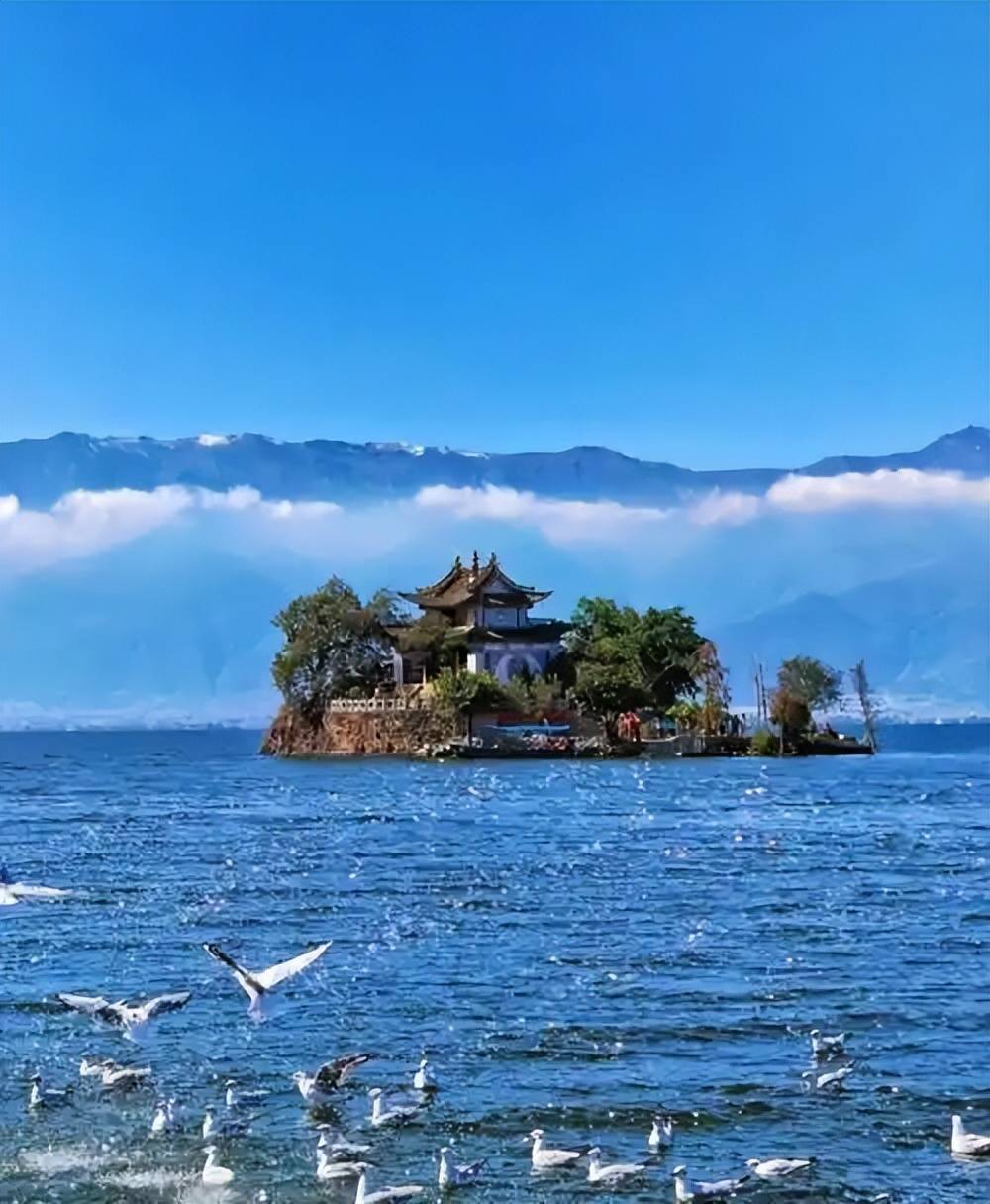 图片[26]-日本网友晒京都空荡荡车厢，称中国游客少了真舒服，引千万人热议 -华闻时空