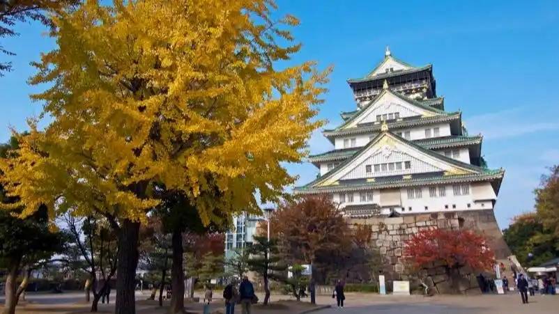 图片[22]-日本网友晒京都空荡荡车厢，称中国游客少了真舒服，引千万人热议 -华闻时空