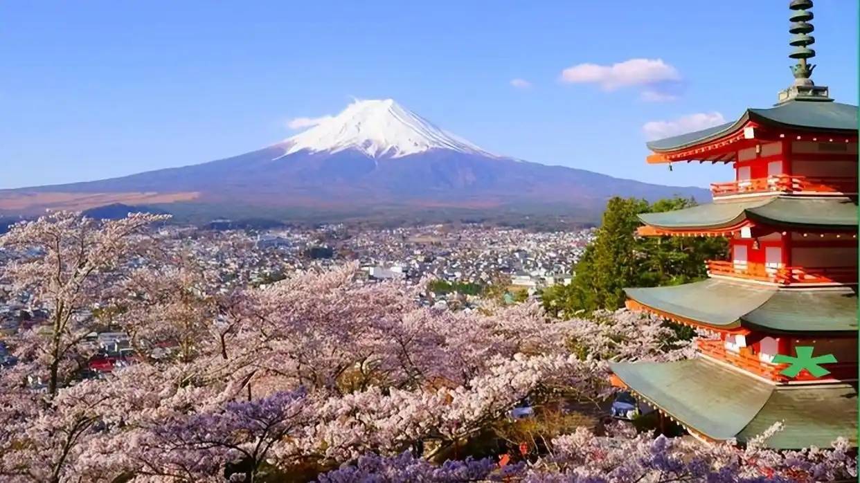 图片[27]-日本网友晒京都空荡荡车厢，称中国游客少了真舒服，引千万人热议 -华闻时空