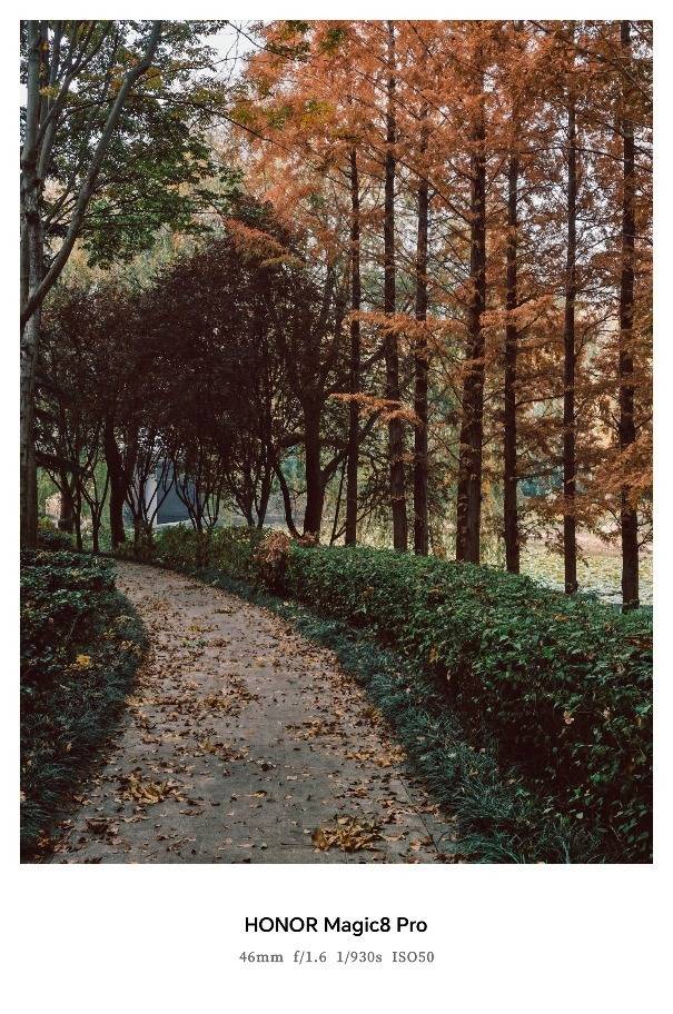 不吹不黑，荣耀Magic8 Pro真实体验分享来了