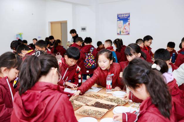 绵阳城市学院开展“杏林小国手”研学营活动