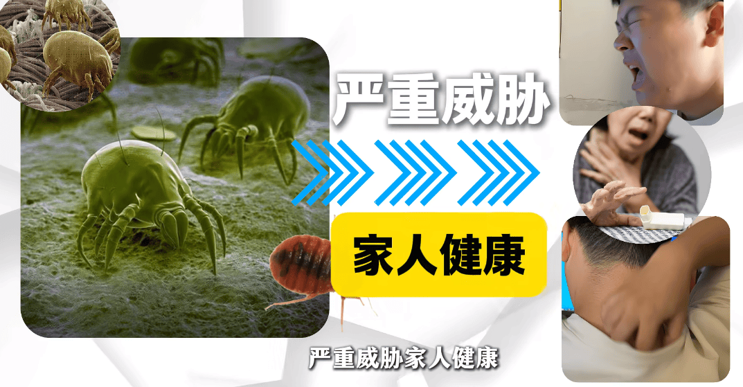 除螨仪最好的品牌有哪些?10大除螨仪品牌排行榜比拼,放心入手