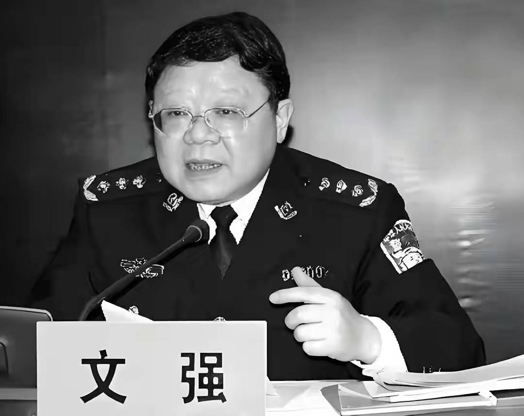 2010年文强生命最后:与儿子谈话10分钟,注射死刑后就近火化