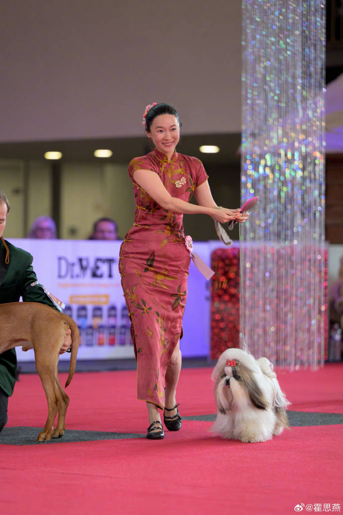 霍思燕爱犬在国际比赛夺冠，杜江发文：开心疯了！创造历史！ 插图4