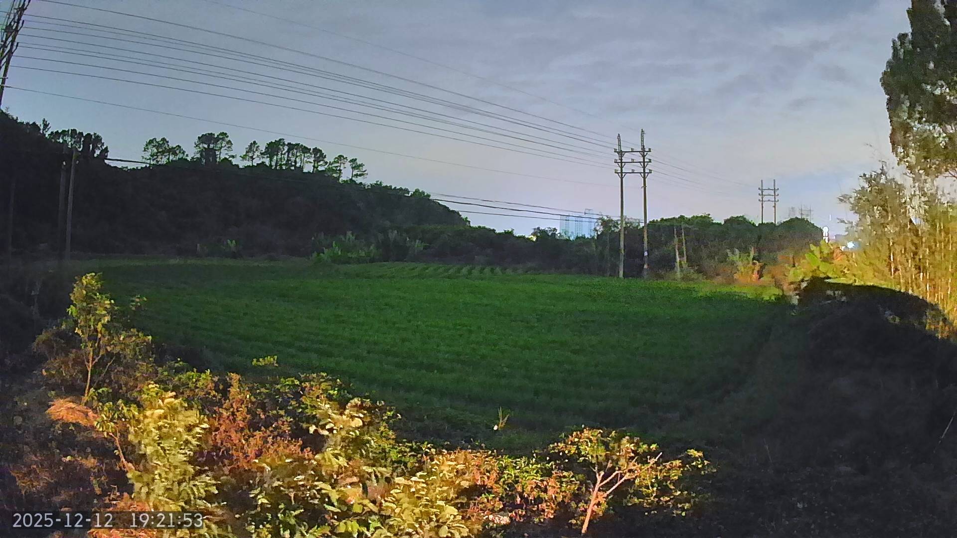 小豚當家鯨瞳 Max 憑什么從一眾消費級攝像頭殺出(圖3)