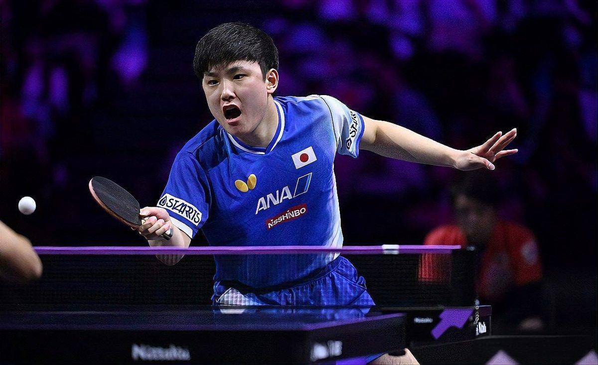 张本智和2003年在日本出生,原名张智和,2014年11岁时随家人加入日本