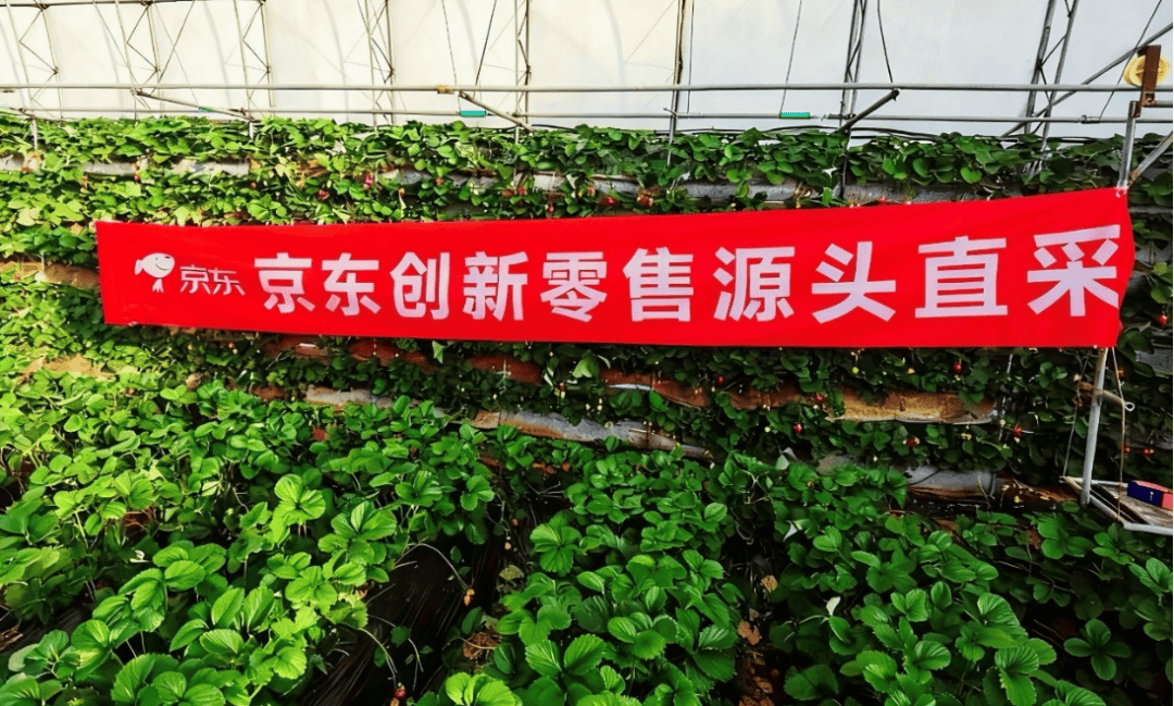 京东七鲜烘焙是怎么炼成的？