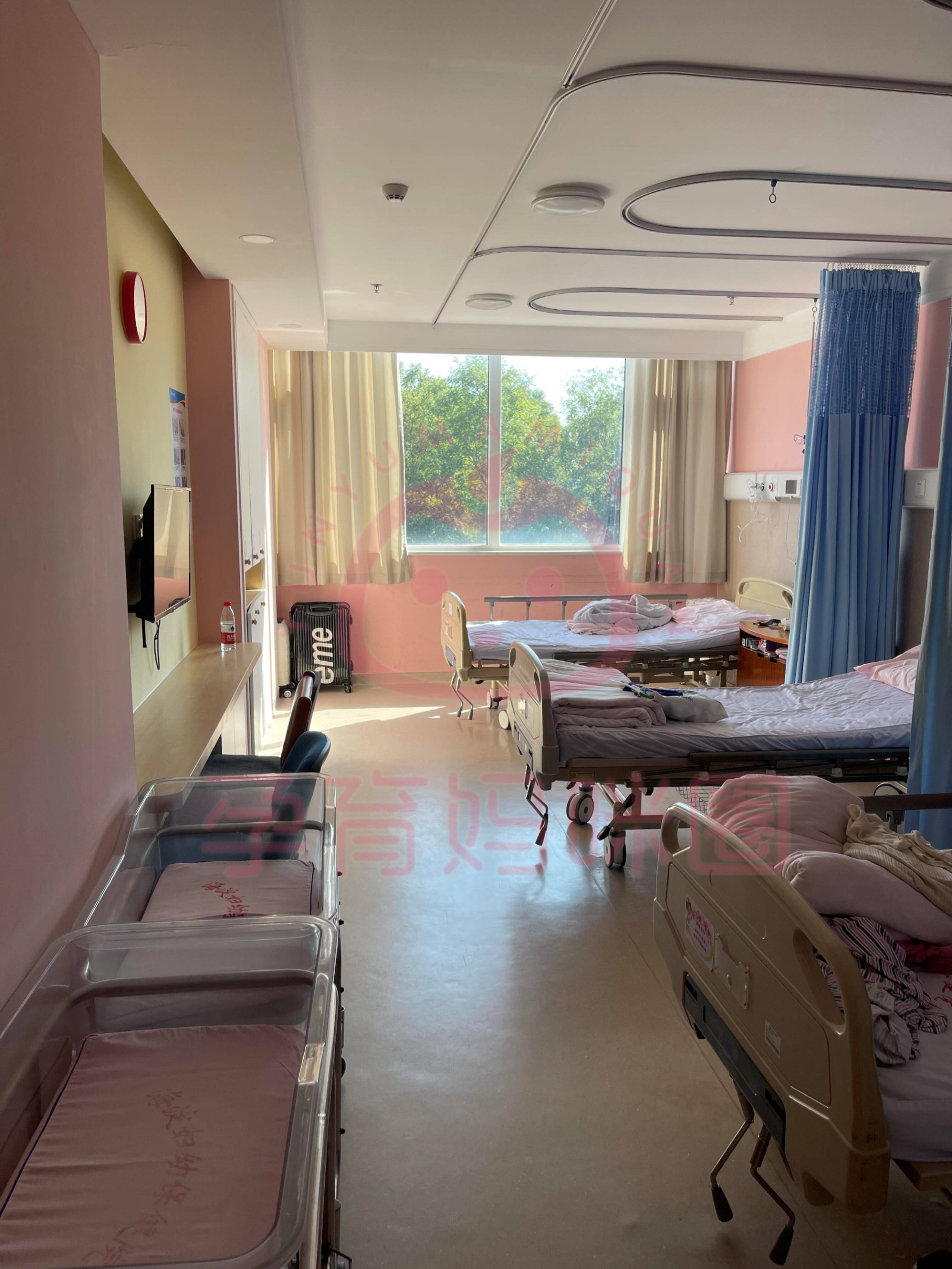 包含地坛医院住院办理陪诊挂号孕期产检全程陪同，省心又安心的词条