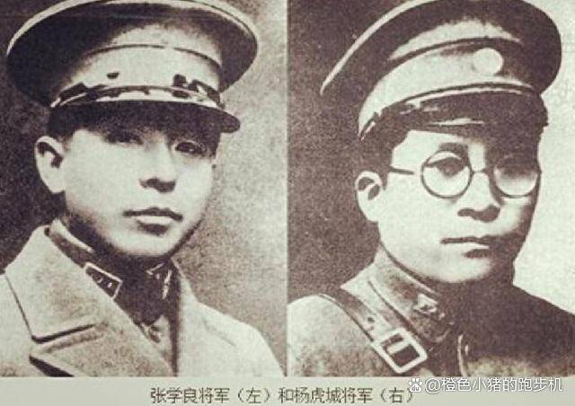 周总理对面搬来一位牙医，罗瑞卿前去试探，通过一幅字画看出端倪