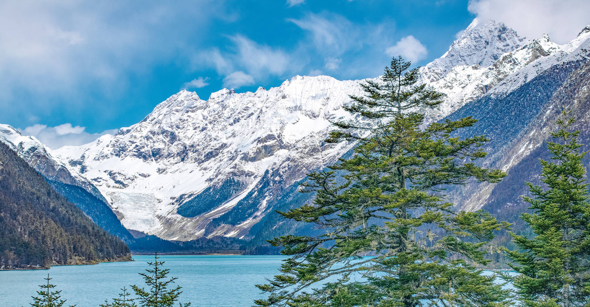 母婴平台技术创新：AI智能管家带来哪些新体验？