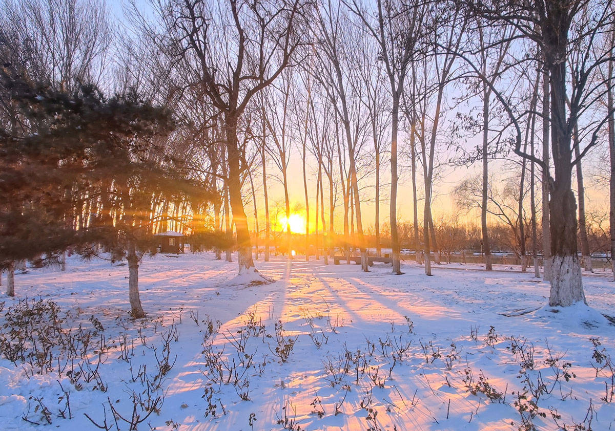 原创            “养阳就是养命”，大寒后，有钱没钱多吃这4样，养足阳气，提升抵抗力，健康迎春