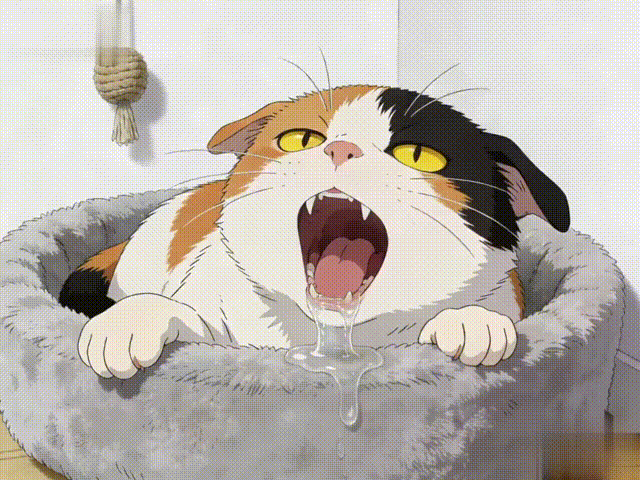 原创            警惕！猫咪出现这些表现，可能是“狂犬病”的信号！