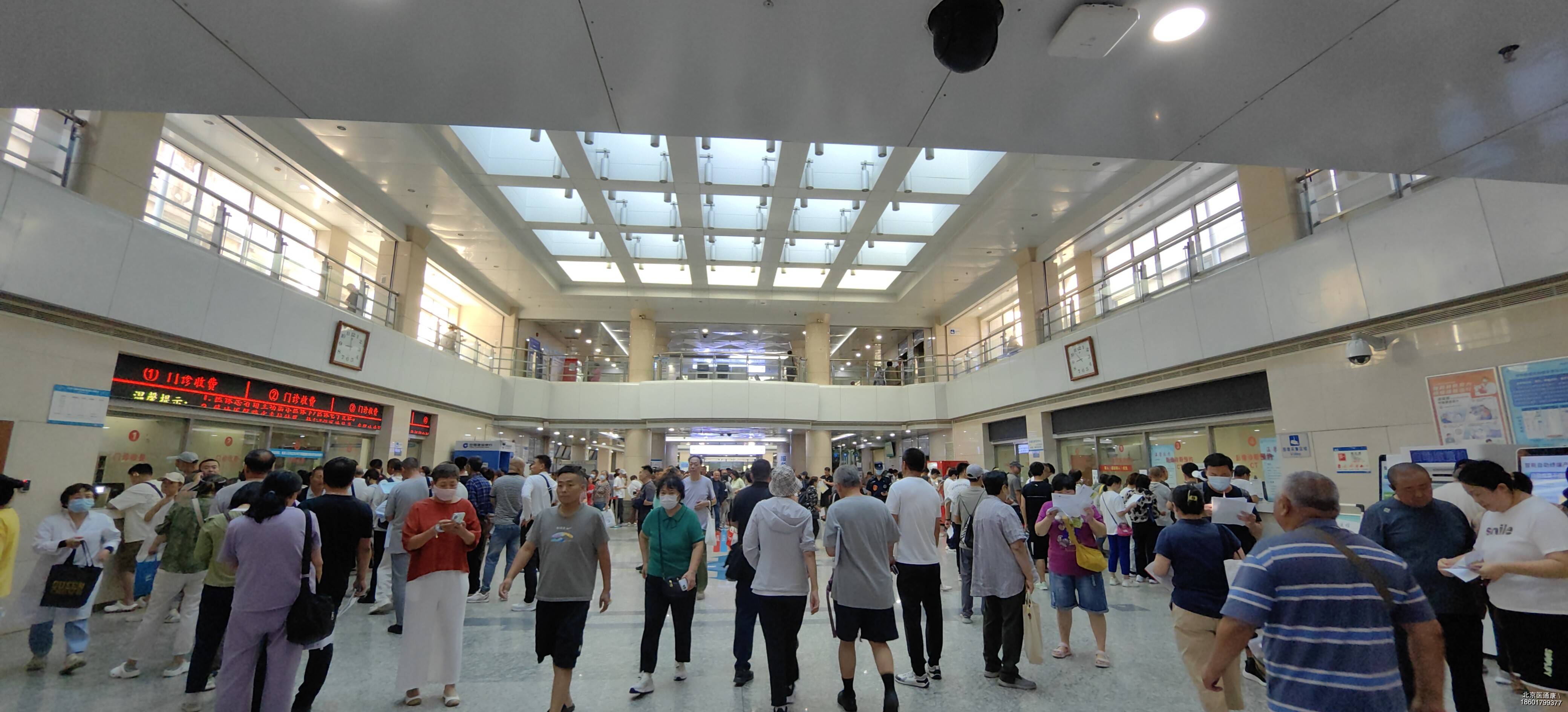 包含北京儿童医院全天陪诊含挂号重症转诊顺畅衔接，诊疗不断档的词条