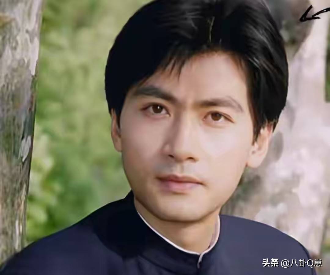 但是,由于外形和气质的限制,陆剑民始终被定型为正派角色