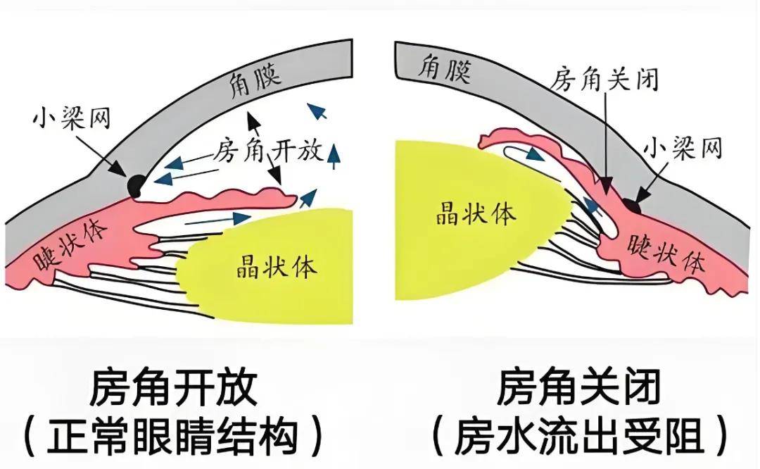 文章配图-1