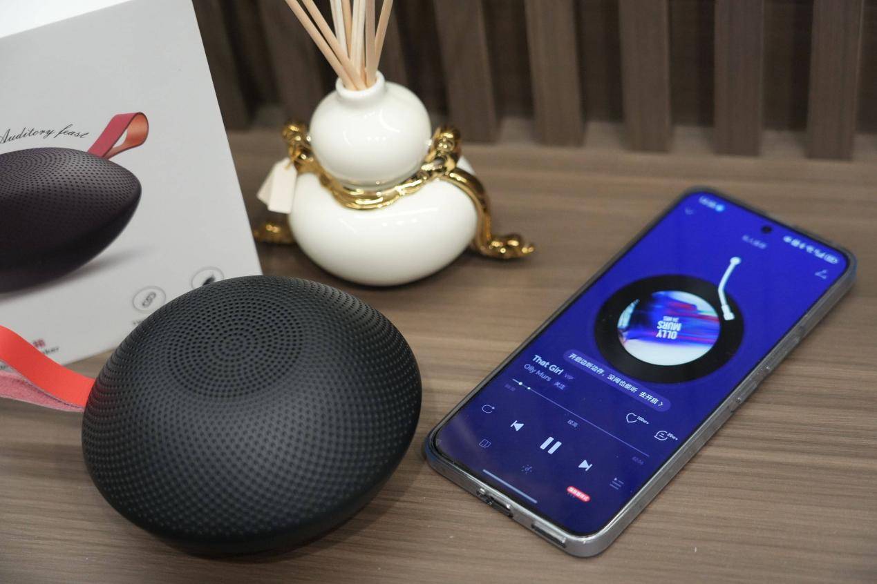 哪款户外音箱音质排名第一？2026年十款户外音箱推荐，音质与便携兼顾