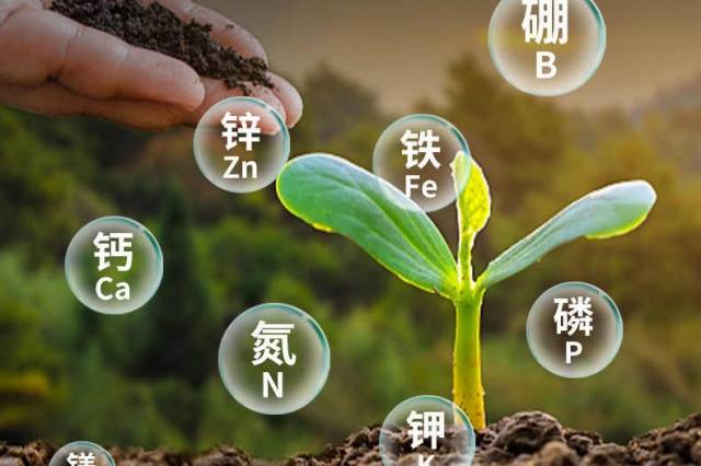 文章配图-1