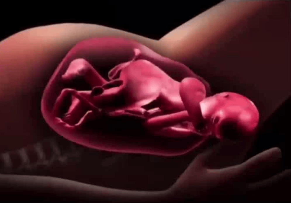 女性个子越小越难顺产？错！育婴师分享三个怀孕误区