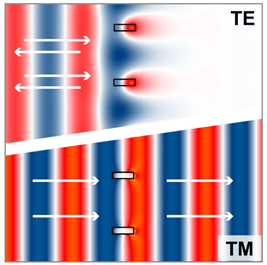 [VirtualLab] 超稀疏电介质纳米线栅偏振器的图1