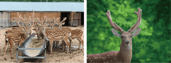 7584c8e685d3194a97f4aa2f376bd8bf7ea955c4