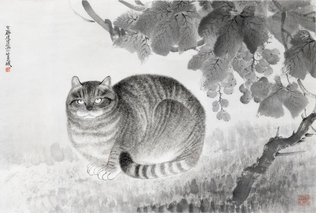 ͼƬ