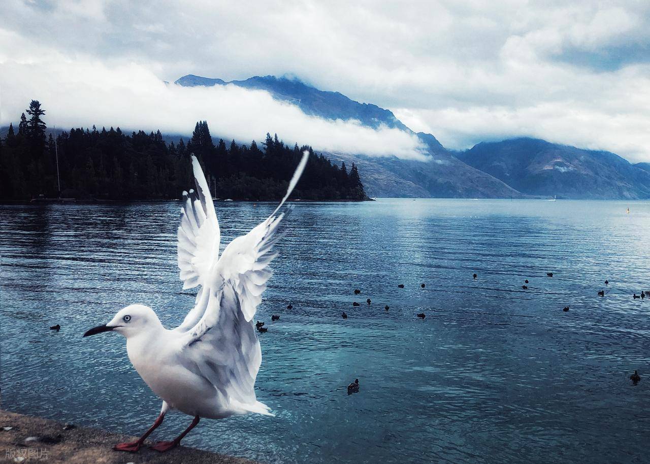 图片[2]-新西兰：一个适合慢下来生活的国家 -华闻时空