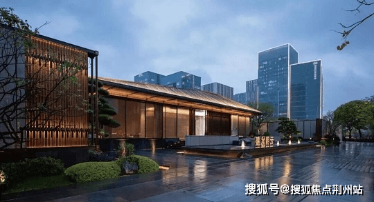 12公分造型罗汉松树价