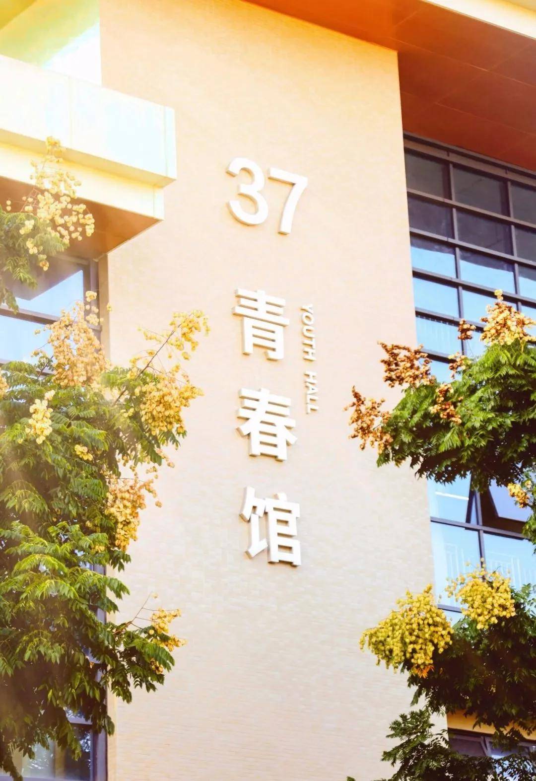 文章配图-4