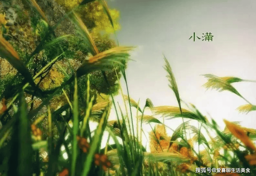 原创            小满将至，建议中老年人：1要穿，2要防，3不宜，4不吃，别大意了！