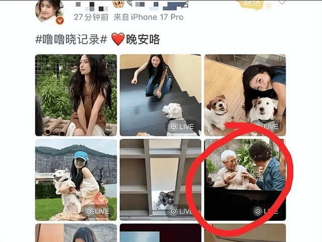 原创            观影盗摄还带偏粉丝，卢昱晓一句道歉，真就能翻篇？