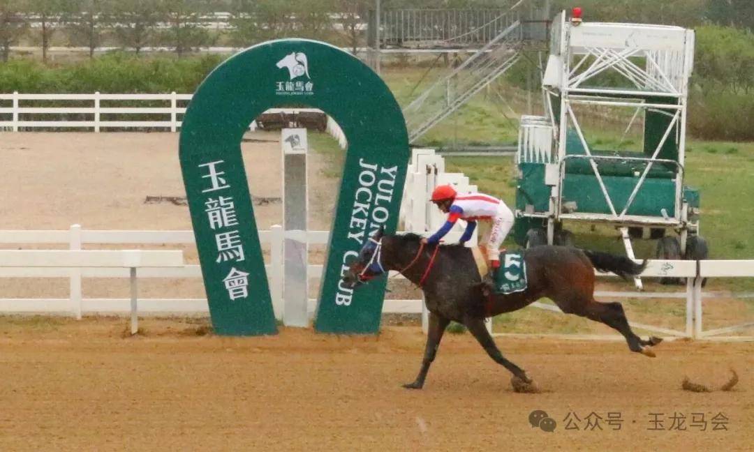 文章配图-2