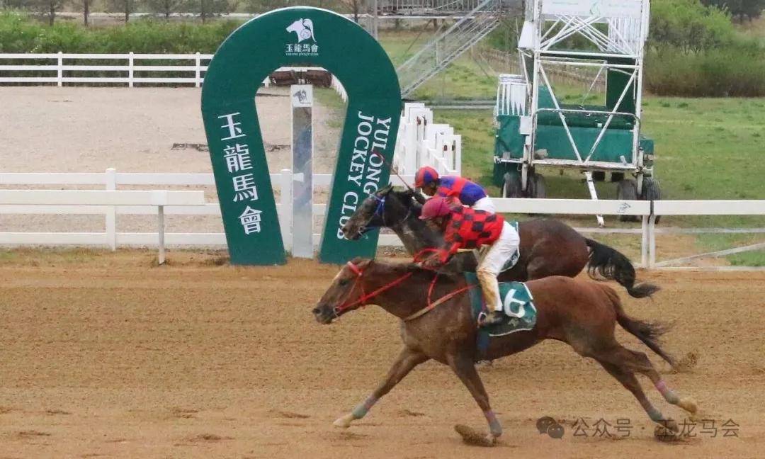 文章配图-1