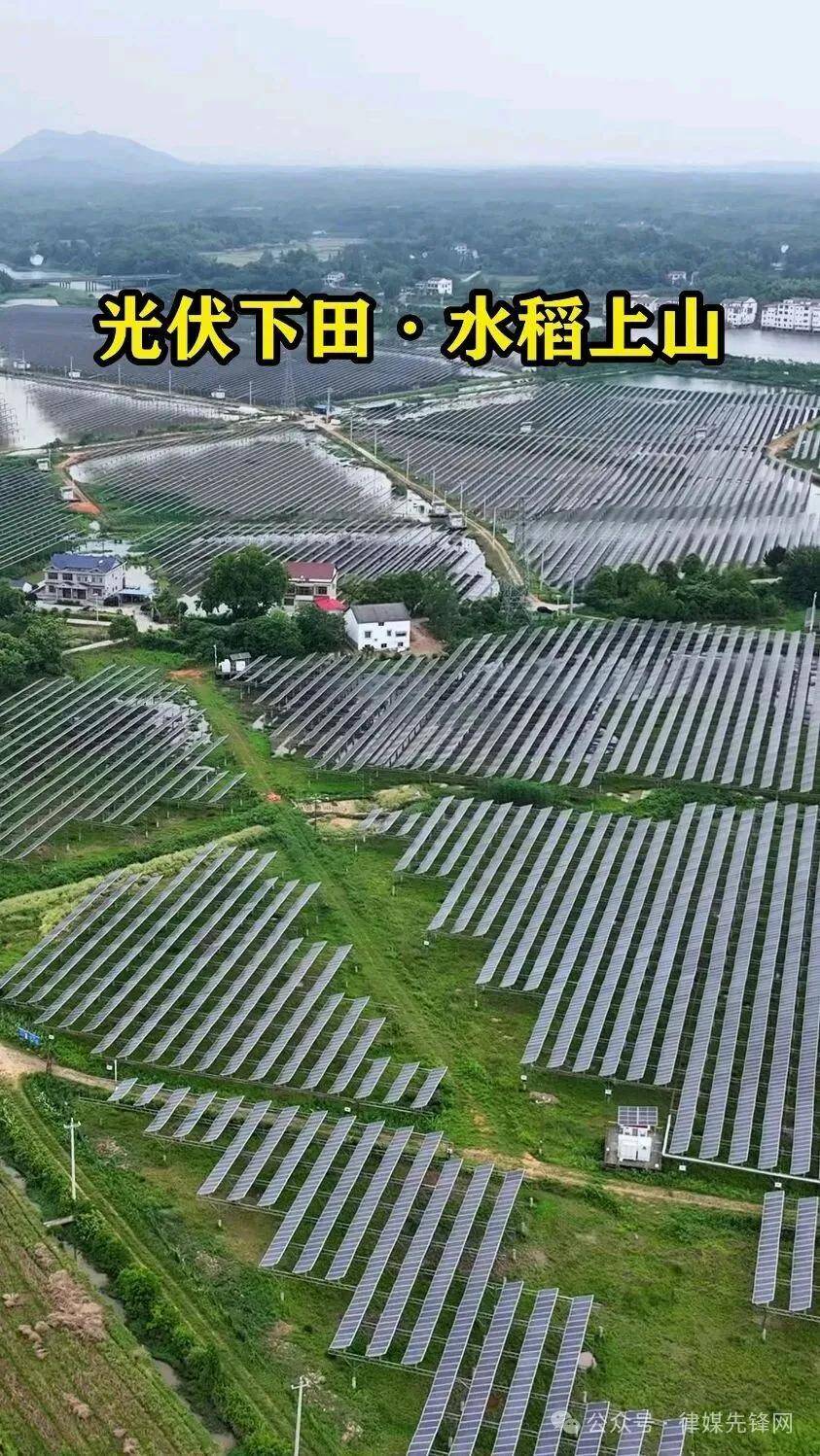 文章配图-1