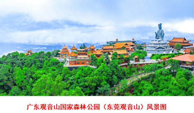文章配图-3