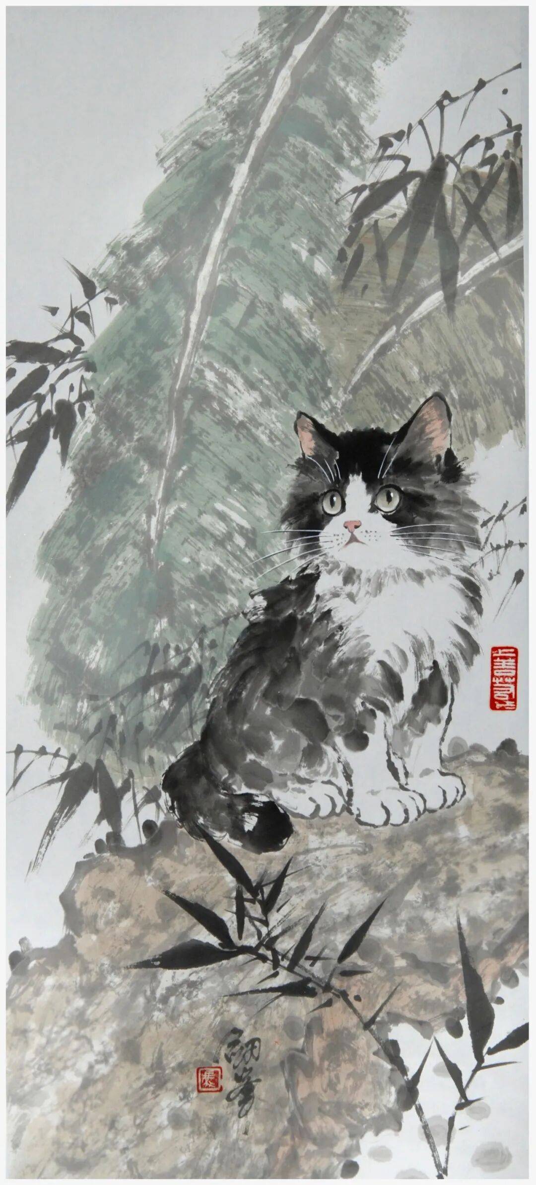 文章配图-9