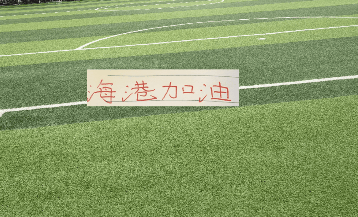 海港下半程赛程依然凶险！足协杯 亚冠 联赛三线作战