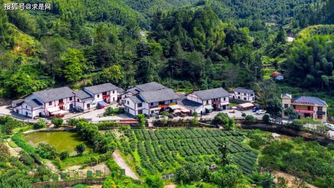 牢记初心使命 奋进复兴征程｜神山村的茶叶香又甜