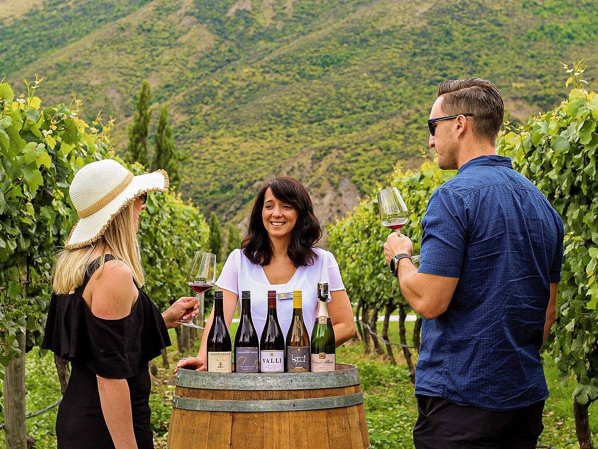 wine-tasting-in-the-vines.jpg