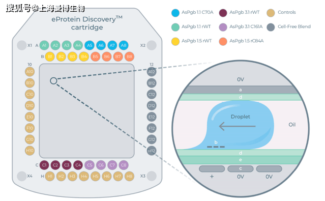 用于无细胞蛋白合成（CFPS）的数字微流控卡盒