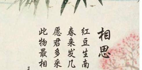 文章配图-2