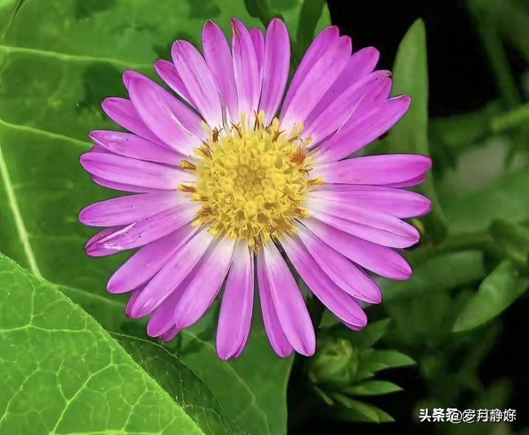 原创            两性关系：男人年过70，身上有这10个特征，多半长寿还能多活20年