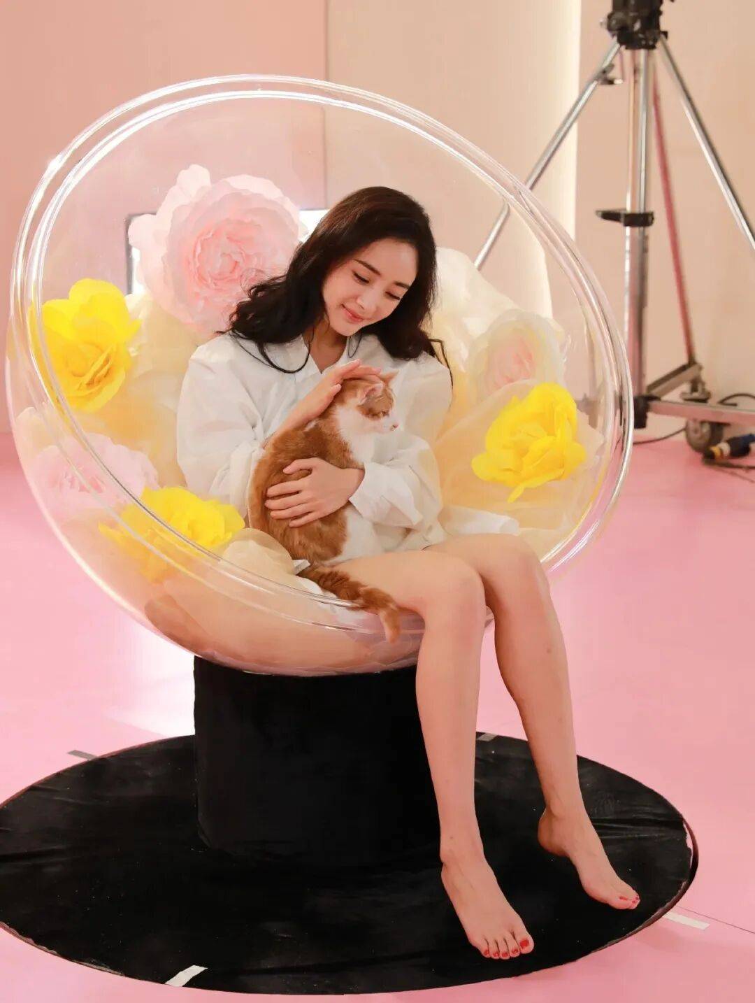 杨幂光脚丫写真，这腿简直勾人魂