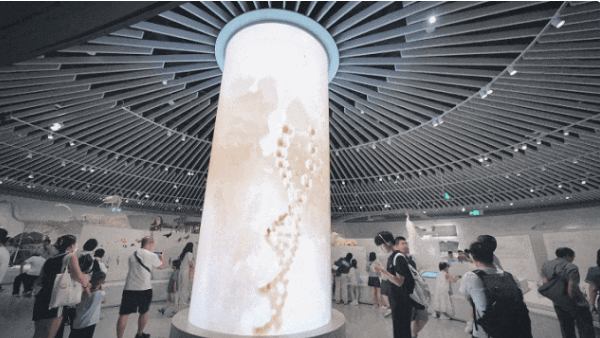 央视报道!华南最大!洲明参与打造的深圳自然博物馆火了!(图4) 央视报道!华南最大!洲明参与打造的深圳自然博物馆火了!(图4)